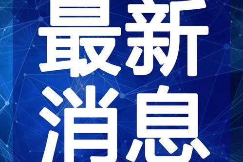 搜索最新爆料新闻视频大全,最新爆料！热门新闻视频大盘点  第3张